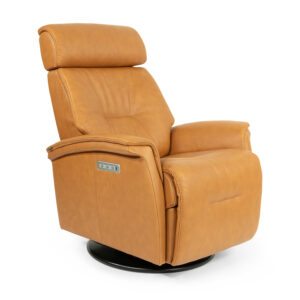 Rome Large Power Motion Recliner