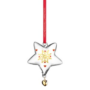 Annual Christmas Star 2021