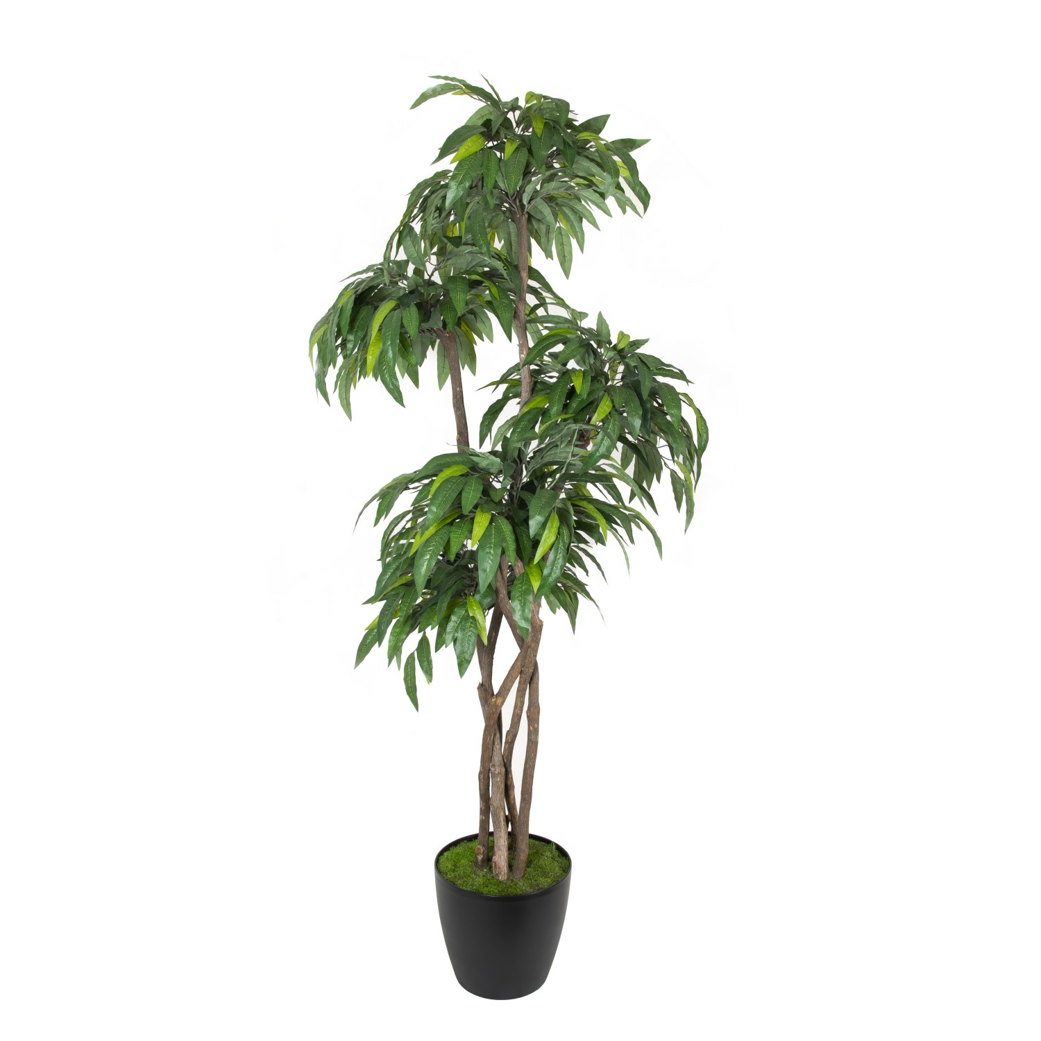 thumbnail image 2 of 4ft (120cm) Artificial Mango Tree – Large Realistic Green Houseplant In Pot – By Leaf (LEAF-7106) 2 of 6