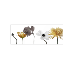 Grey/White/Beige Flowers Wall Art