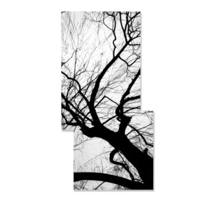 Branches Print
