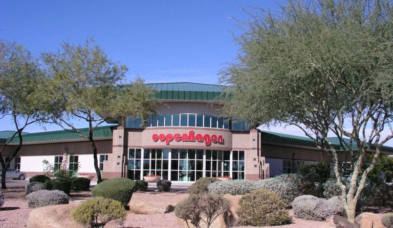 Modern Furniture in Scottsdale, AZ - Copenhagen Imports