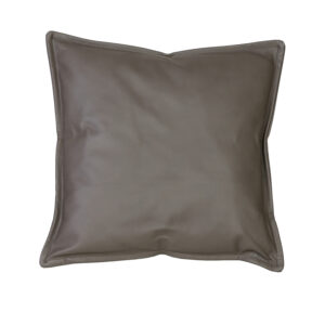 Scatter Pillow