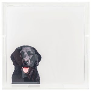 Black Lab Small Tray