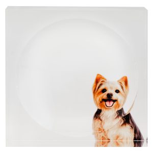 Yorkie Candy Dish