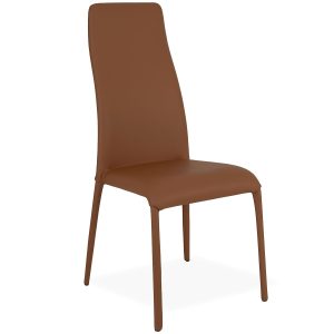 Swing Dining Chair