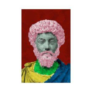 Pink Hair Wall Art20