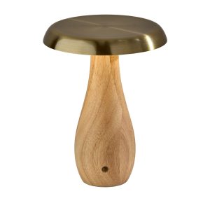 Naya Cordless LED Lamp