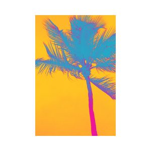 Palm Tree Multi Wall Art